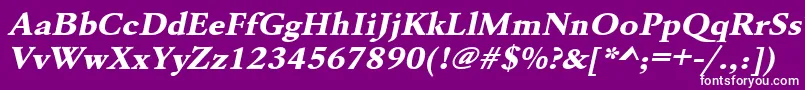 UrwgaramondtextbolextwidOblique Font – White Fonts on Purple Background