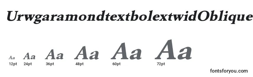 Размеры шрифта UrwgaramondtextbolextwidOblique