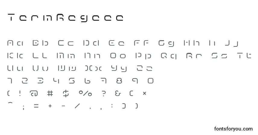 Czcionka TermRegeee – alfabet, cyfry, specjalne znaki