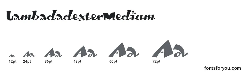 Размеры шрифта LambadadexterMedium