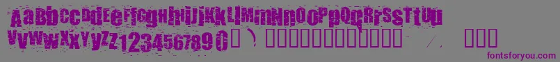 Шрифт Punkass – фиолетовые шрифты на сером фоне