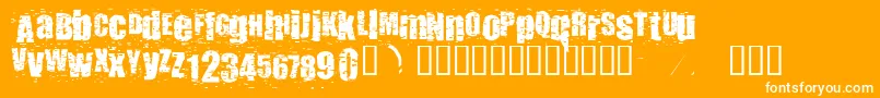 Punkass-Schriftart – Weiße Schriften auf orangefarbenem Hintergrund