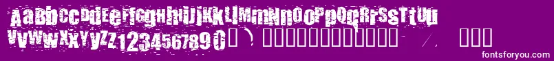 Punkass Font – White Fonts on Purple Background