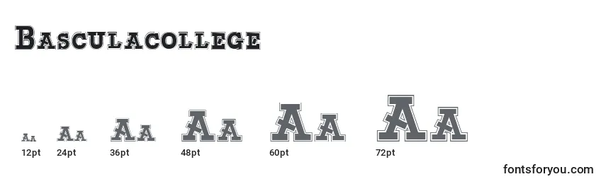 Basculacollege Font Sizes