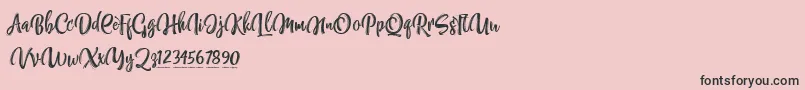 NettizenTrial Font – Black Fonts on Pink Background