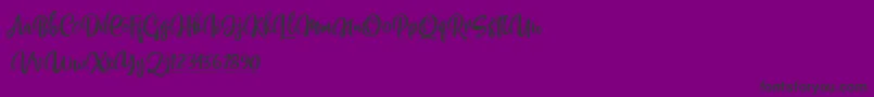 NettizenTrial Font – Black Fonts on Purple Background