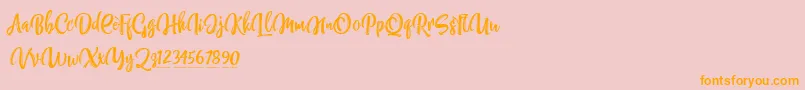 NettizenTrial-Schriftart – Orangefarbene Schriften auf rosa Hintergrund