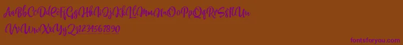 Шрифт NettizenTrial – фиолетовые шрифты на коричневом фоне