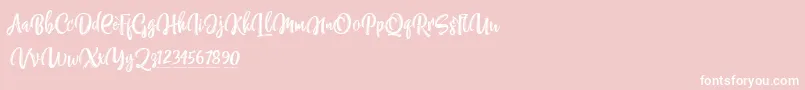 NettizenTrial Font – White Fonts on Pink Background