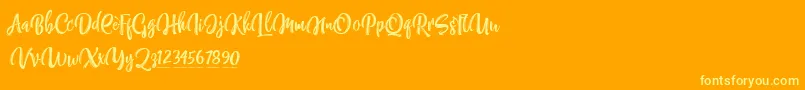 NettizenTrial-fontti – keltaiset fontit oranssilla taustalla