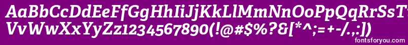 AdelleCyrillicBoldItalic Font – White Fonts on Purple Background