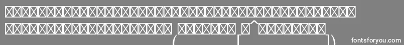 フォントLucidamathstdExtension – 灰色の背景に白い文字