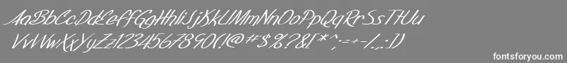 SfFoxboroScriptExtendedItalic Font – White Fonts on Gray Background