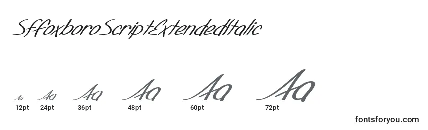 Размеры шрифта SfFoxboroScriptExtendedItalic