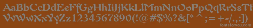 Freeform721BoldBt Font – Gray Fonts on Brown Background