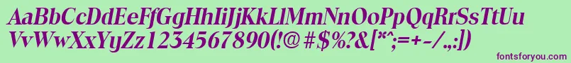 ToledoDemiboldita Font – Purple Fonts on Green Background