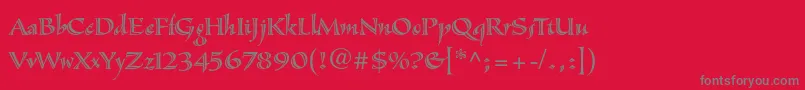SassafrasstdRoman Font – Gray Fonts on Red Background