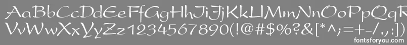 フォントPremiseRegular – 灰色の背景に白い文字