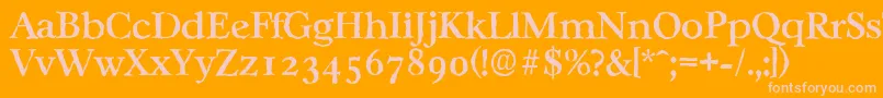 CasablancaantiqueMediumRegular Font – Pink Fonts on Orange Background