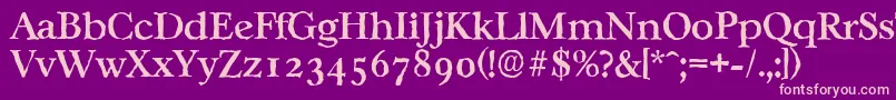 CasablancaantiqueMediumRegular Font – Pink Fonts on Purple Background