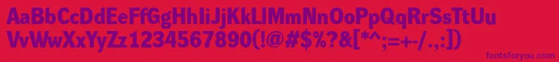 DynagroteskdBold Font – Purple Fonts on Red Background