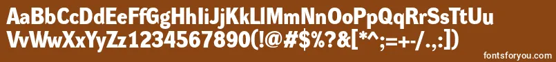 DynagroteskdBold Font – White Fonts on Brown Background