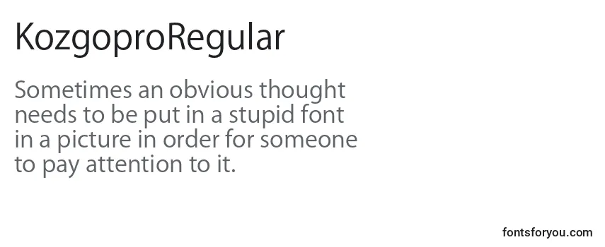 Review of the KozgoproRegular Font