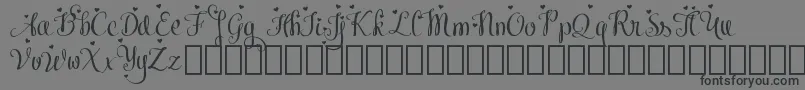 MeybiDemo-Schriftart – Schwarze Schriften auf grauem Hintergrund