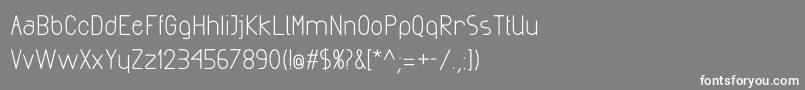 ExactaBold Font – White Fonts on Gray Background