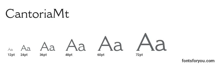 CantoriaMt Font Sizes