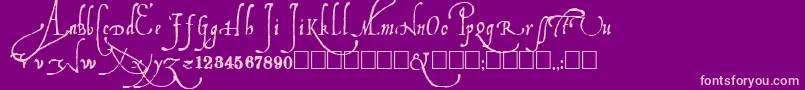 Ludovico Font – Pink Fonts on Purple Background