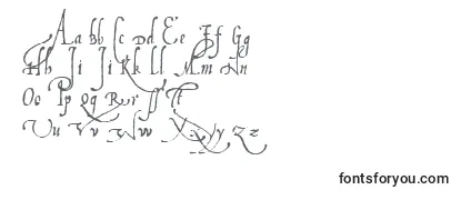 Обзор шрифта Ludovico