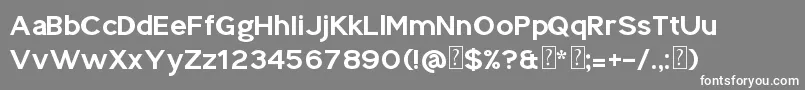 Splekta Font – White Fonts on Gray Background