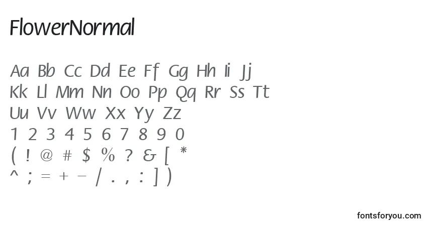 A fonte FlowerNormal – alfabeto, números, caracteres especiais