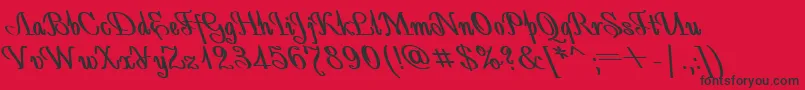 AntidecorBoldItalic Font – Black Fonts on Red Background