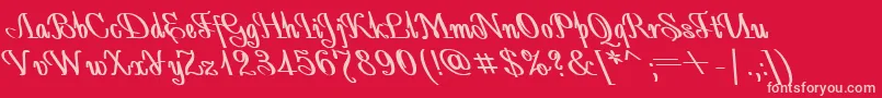 AntidecorBoldItalic Font – Pink Fonts on Red Background