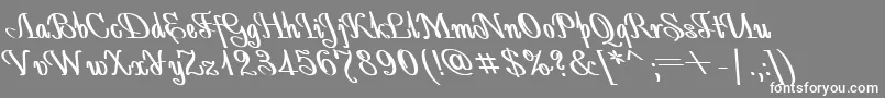 AntidecorBoldItalic Font – White Fonts on Gray Background