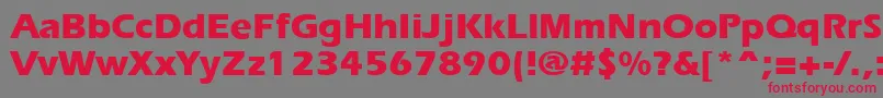 ErgoeExtrabold Font – Red Fonts on Gray Background