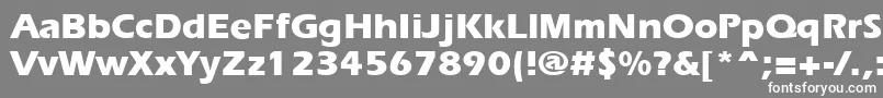 ErgoeExtrabold Font – White Fonts on Gray Background