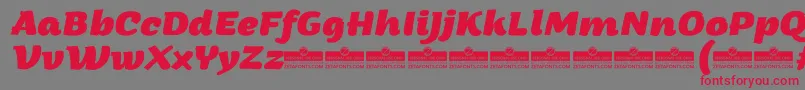ArturoExtrabolditalicTrial Font – Red Fonts on Gray Background