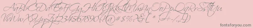 ScriptinaPro-Schriftart – Graue Schriften auf rosa Hintergrund