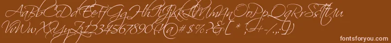 ScriptinaPro Font – Pink Fonts on Brown Background