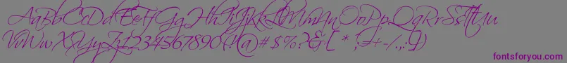 ScriptinaPro-Schriftart – Violette Schriften auf grauem Hintergrund