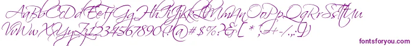 ScriptinaPro Font – Purple Fonts on White Background