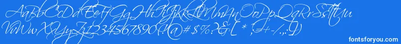 ScriptinaPro Font – White Fonts on Blue Background