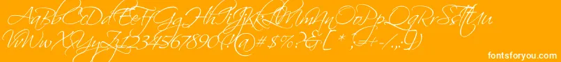 ScriptinaPro Font – White Fonts on Orange Background