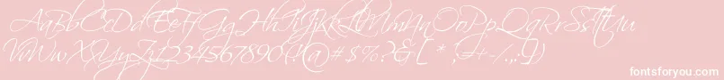 ScriptinaPro Font – White Fonts on Pink Background