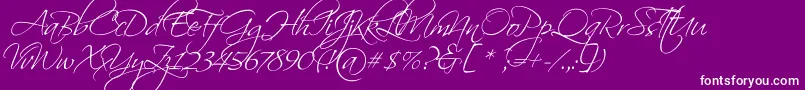 ScriptinaPro Font – White Fonts on Purple Background