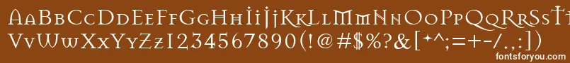 Czcionka Masonchronicles – białe czcionki na brązowym tle