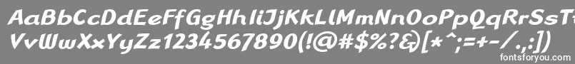 フォントLinotypeRanaBoldItalic – 灰色の背景に白い文字